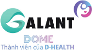 logo galant dome