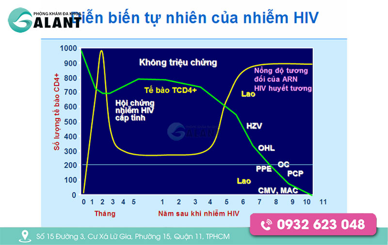 giai đoạn cửa sổ HIV 