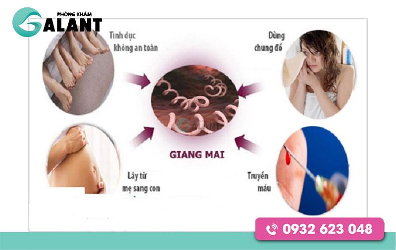 Bệnh lậu giang mai lây qua đường nào